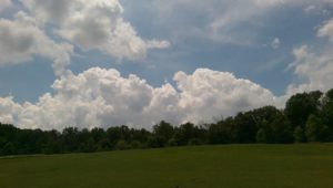 Green field under a sky filled with fluffy white clouds.