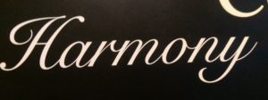 Close-up of white cursive text on a black background.