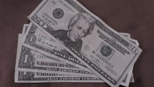 Several $20 bills arranged in a fanned-out manner.