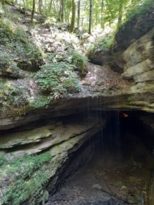 Entrance to a rocky cave surrounded by greenery with sunlight filtering in.